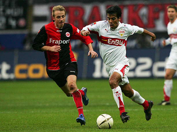 巩固了其 巩固了其